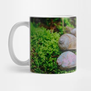 Snails Mug